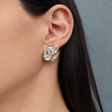 CARINA CLEAR