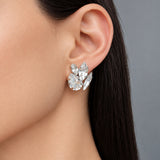 CARINA CLEAR
