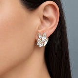 CARINA CLEAR